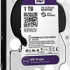 Hard Disk (1TB, Purple)