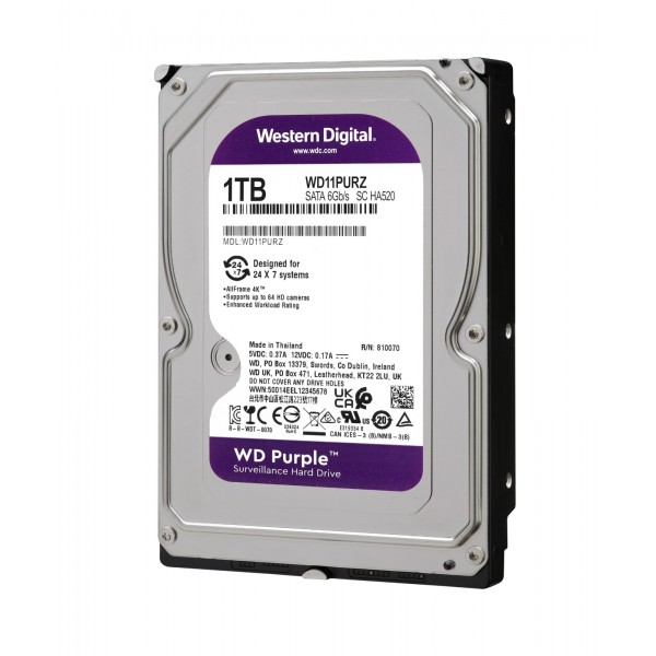 Hard Disk (1 TB, Purple)