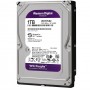 Hard Disk (1 TB, Purple)